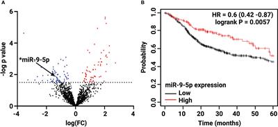 Investigating miR-9 as a mediator in laryngeal cancer health disparities